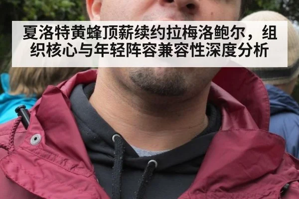 夏洛特黄蜂顶薪续约拉梅洛鲍尔，组织核心与年轻阵容兼容性深度分析